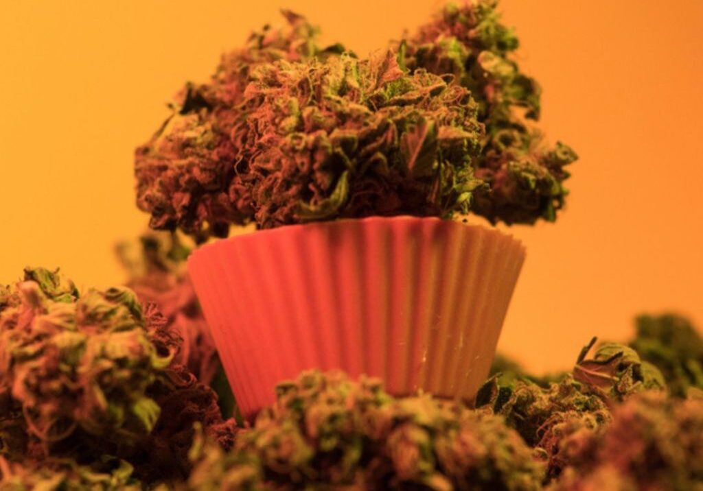 What is cannabis culture